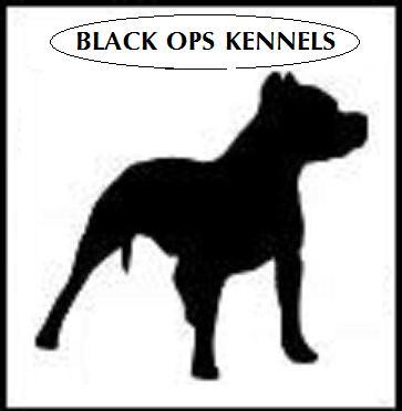 black_ops_kennels.jpg